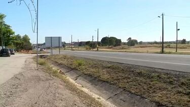 Jovem detido por atropelar três pessoas em festa no Montijo