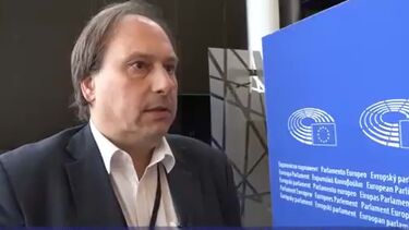 "Há dias infernais": Assessor dos eurodeputados do PS fala sobre dia a dia no Parlamento Europeu