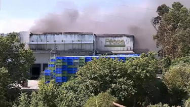 Incêndio em Marco de Canaveses dado como extinto 39 horas depois