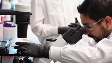 Investigadores do IPO do Porto criam prótotipo de vacina para tratamento do cancro
