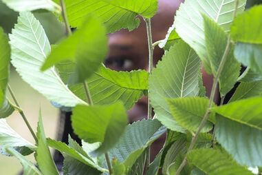 Utente não identificada da plataforma de Apoio a Jovens acolhidos