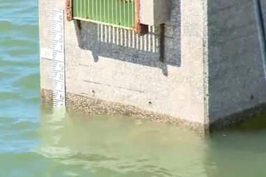 Agricultores algarvios lamentam atraso na publicação do alívio de restrições