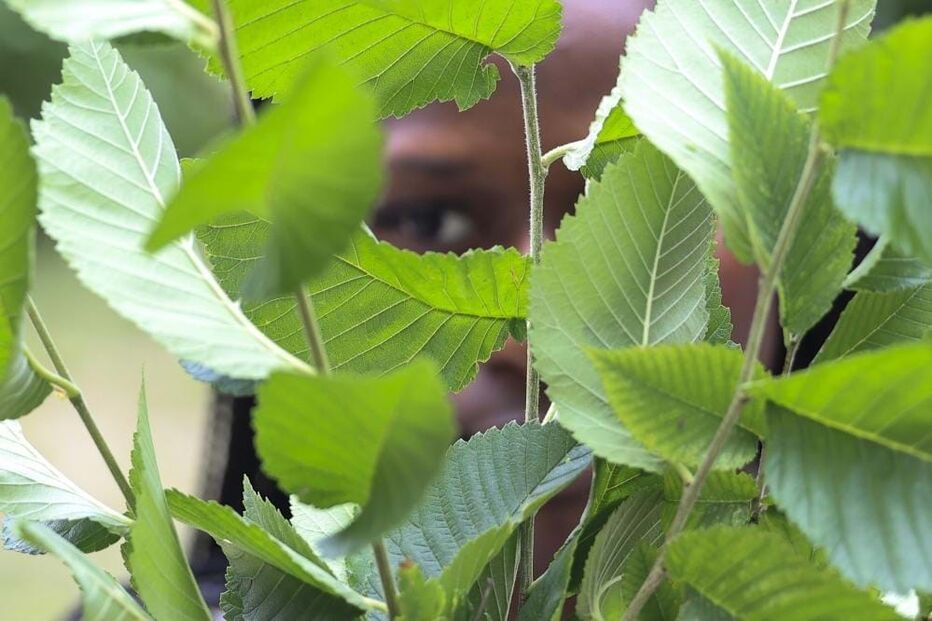 Utente não identificada da plataforma de Apoio a Jovens acolhidos