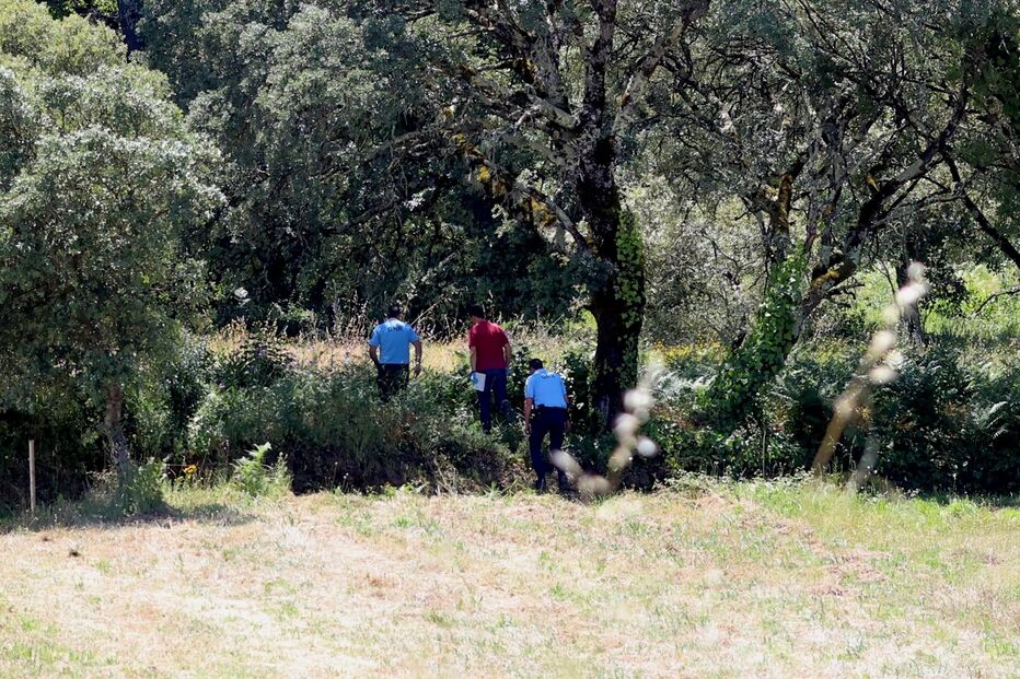 Imagem RAL-9135A.JPG (21501056) (Milenium)