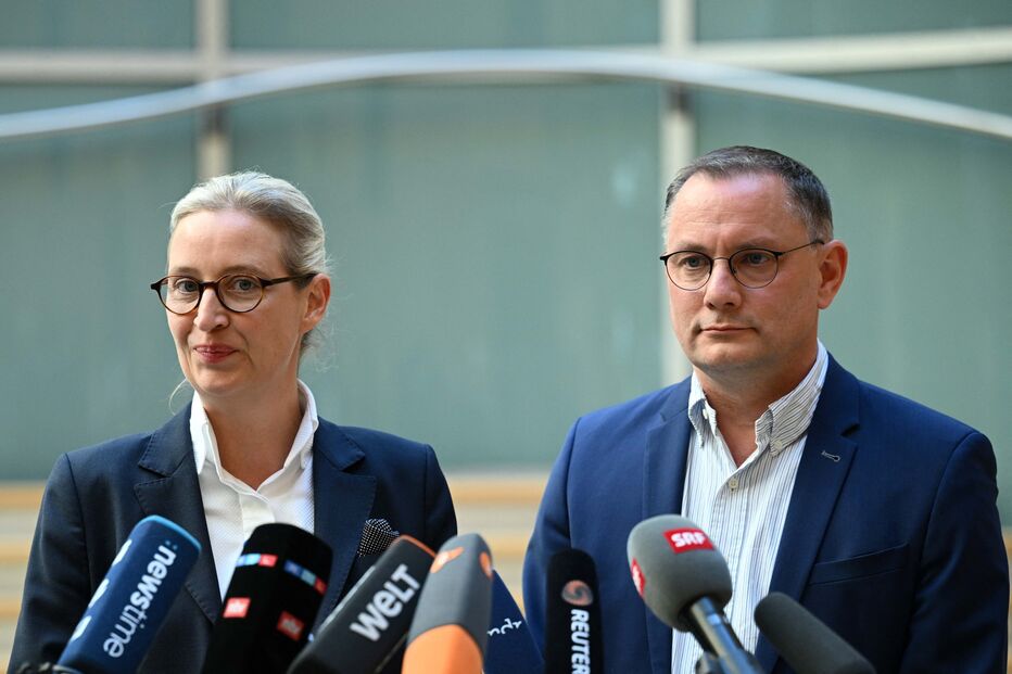 Alice Weidel e Tino Chrupalla