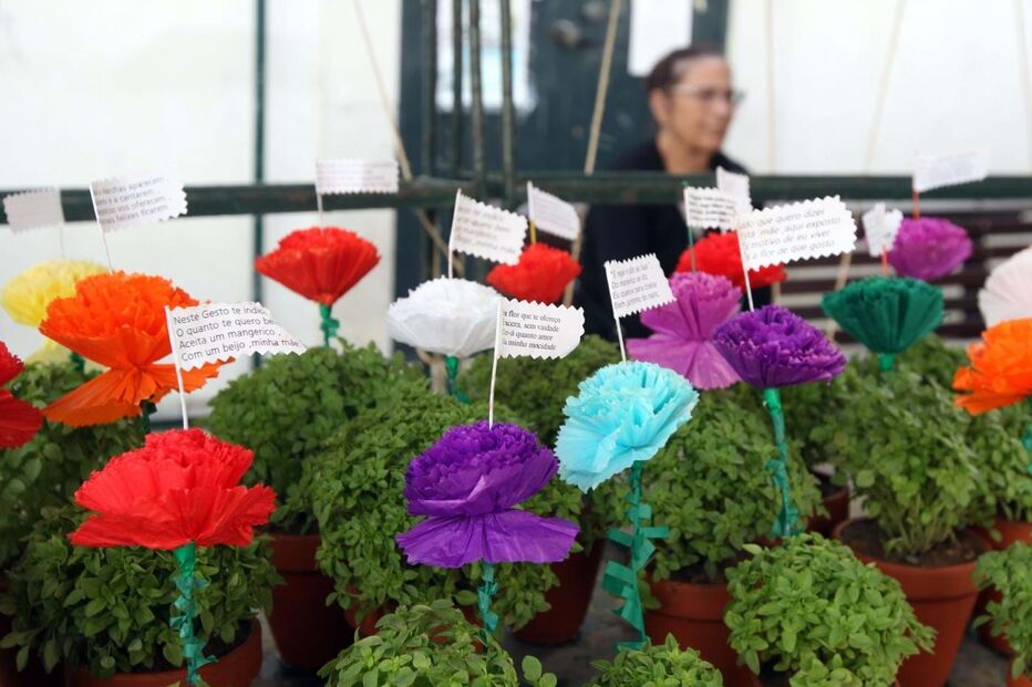 Manjericos, Santos Populares, Festa