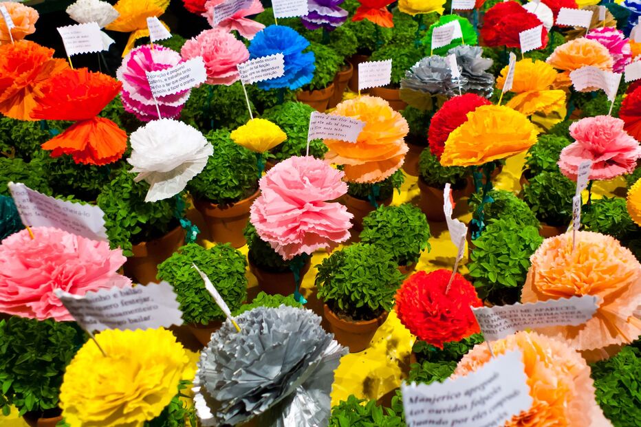 2024-06-06_12_02_09 GettyImages-526182255.jpg