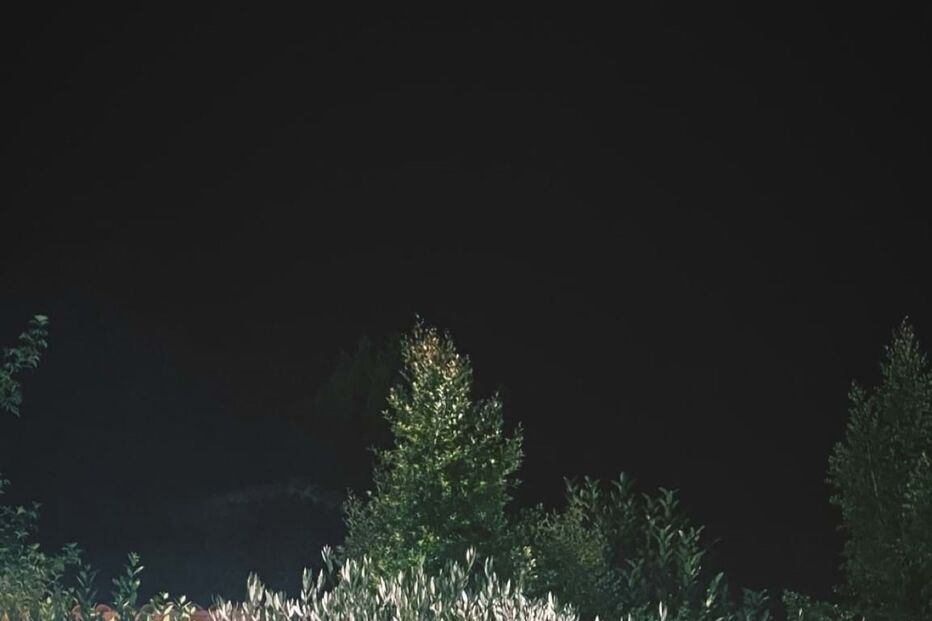 Francisco Macau/Instagram