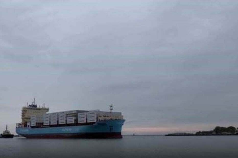 2024-06-13_09_36_18 cargueiro.JPG