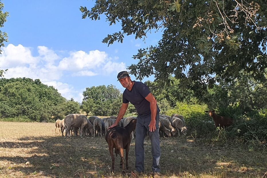 O produtor de gado Pedro Gambôa está desesperado por não conseguir resolver o problema