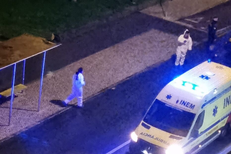 Imagem PORTELA5.JPG (21622224) (Milenium)