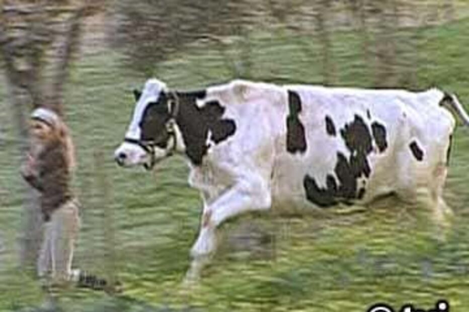 2024-06-15_21_25_03 87001.JPG