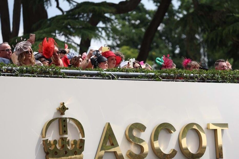 2024-06-19_19_58_10 51787110.jpg