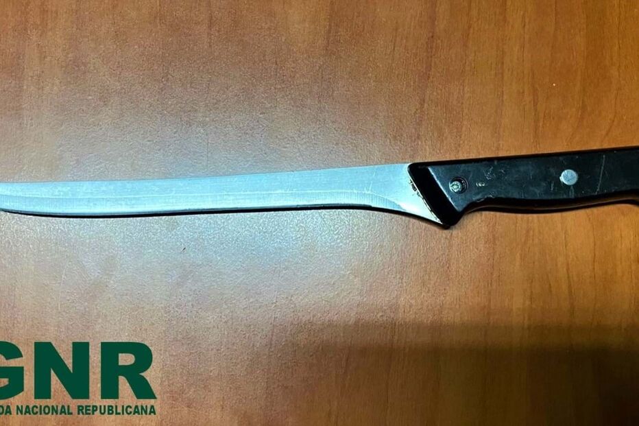 2024-06-28_15_33_11 thumbnail_GNR Porto - Apreensão 1.jpg