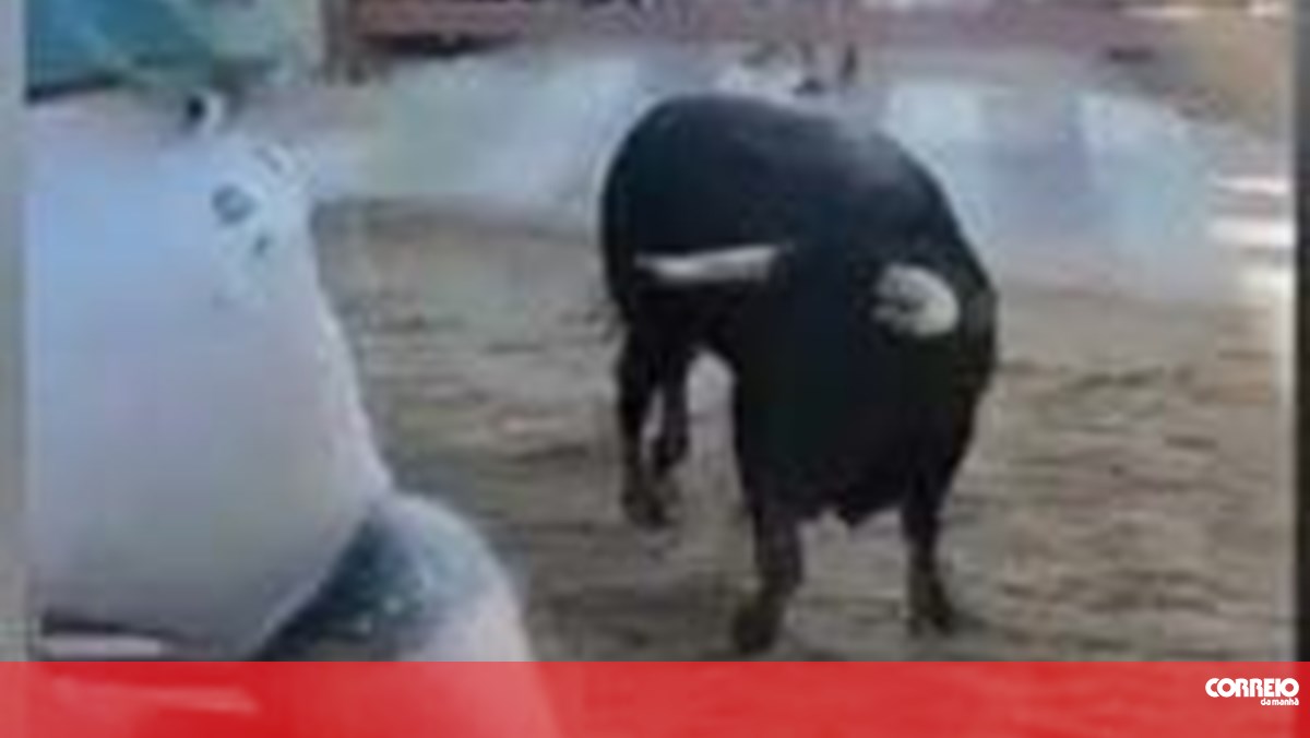 Touro provoca o pânico em Vila Franca de Xira