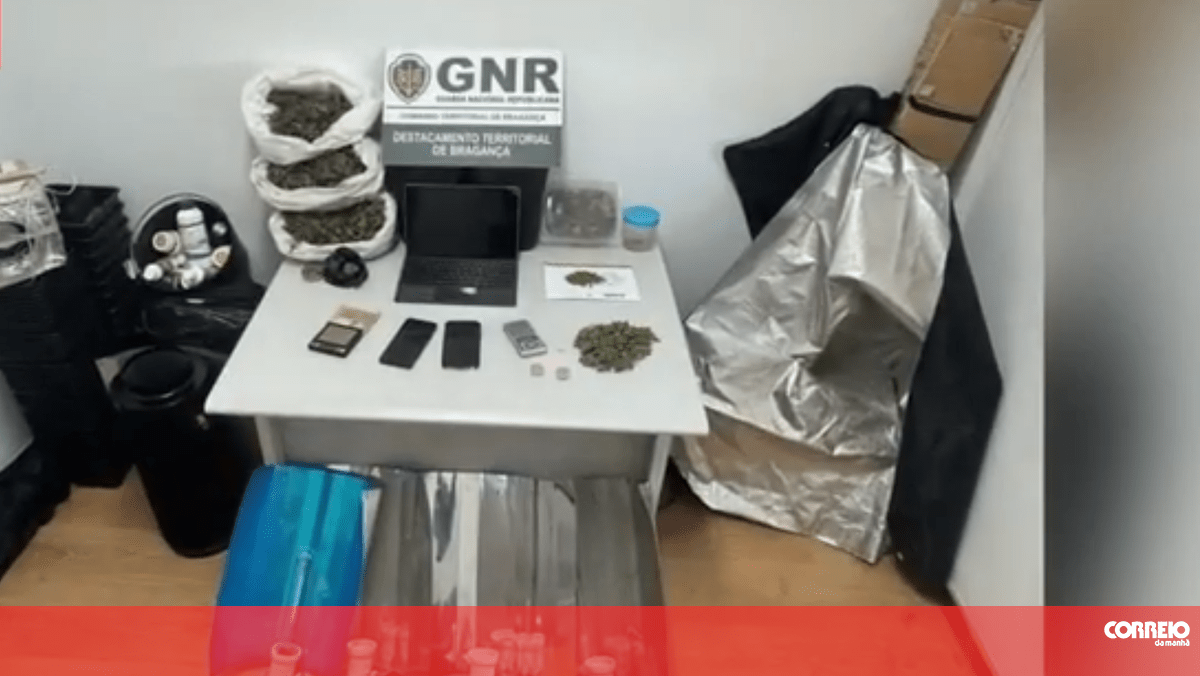 GNR de Bragança detém dois homens suspeitos de tráfico de droga