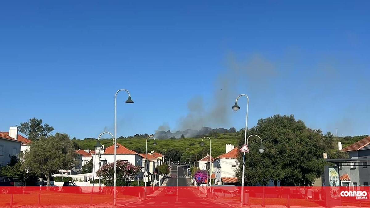 Mais de 50 bombeiros combatem incêndio no parque florestal de Monsanto em Lisboa – Portugal