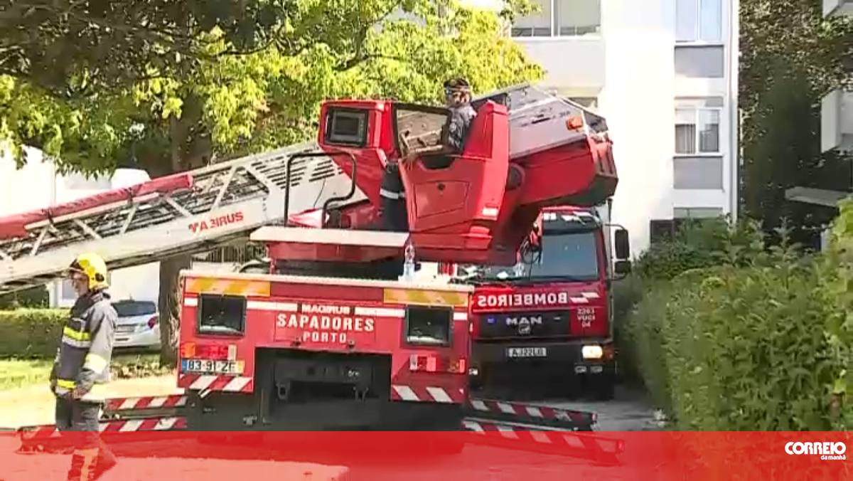 Incêndio em apartamento mata três gatos no Porto