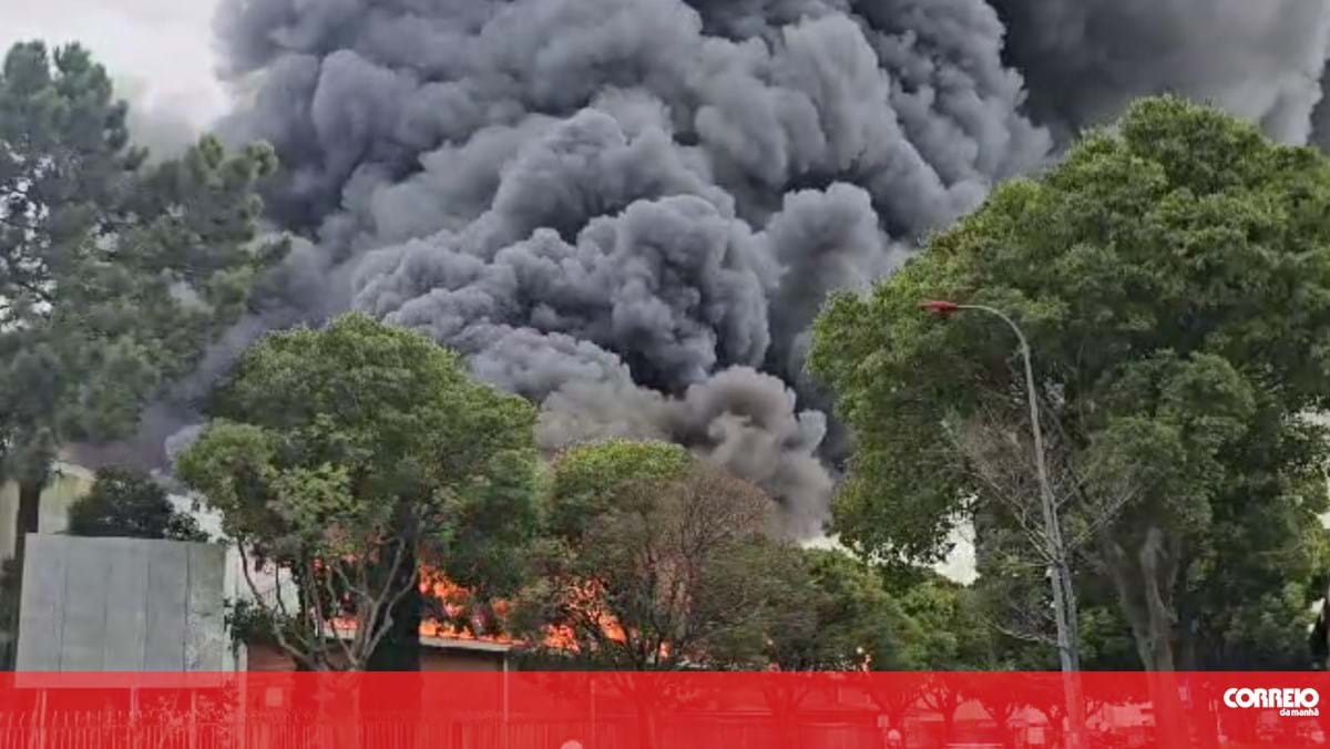 Mais de duas dezenas de Bombeiros combatem fogo na zona industrial do Porto