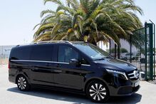 Imagens exclusivas da chegada de Elon Musk a Portugal