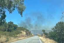 Quase 100 bombeiros e quatro meios aéreos combatem incêndio na Amareleja