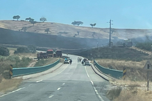 Quase 100 bombeiros e quatro meios aéreos combatem incêndio na Amareleja