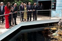 2024-07-12_17_15_19 52055892.jpg