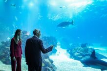 2024-07-12_17_15_31 52056035.jpg