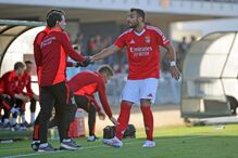 2024-07-14_13_59_00 pav1.jpg