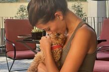 Francisca Cerqueira Gomes e Pierre Gasly apresentam novo membro da família 