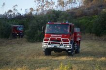 Mais de 200 bombeiros e oito meios aéreos combatem incêndio em Santarém