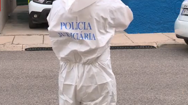 Idoso agride mulher com marreta na cabeça após discussão