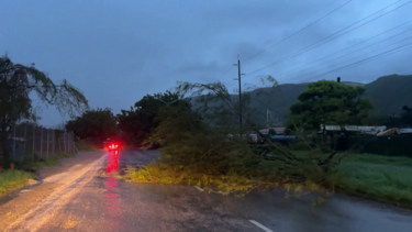 Inundações e árvores arrancadas: Furacão Beryl deixa rasto de destruição na Jamaica