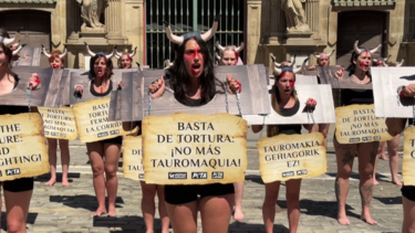 "Basta de maus tratos a animais": Ativistas protestam contra as touradas antes das festas de San Fermín 