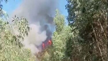 Sete meios aéreos combatem incêndio com cinco frentes ativas em Baião