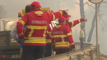 Bombeiro deita fogo a mata na Sertã por desgosto amoroso