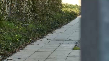 Recluso condenado por homicídio foge de clínica e é apanhado em casa de familiar