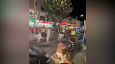 GNR a cavalo separa rixa entre jovens ingleses e neerlandeses em Albufeira