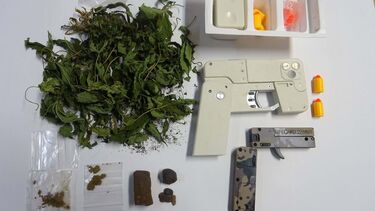 Polícia efetua buscas em casa de homem por ofensas à integridade física e encontra estufas para cultivo de droga
