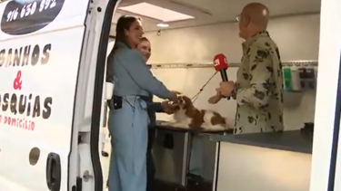 '101 Serviços para Cães e Gatos' veio ao 'Manhã CM'