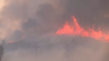 Oito concelhos de Faro em perigo máximo de incêndio rural