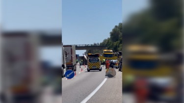Camião despista-se na A1 na zona da Mealhada. Condutor ficou ferido