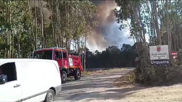 Mais de 190 bombeiros e seis meios aéreos combatem chamas em Pombal