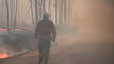 Incêndio de grandes dimensões mobiliza mais de 300 operacionais em zona florestal em Pombal