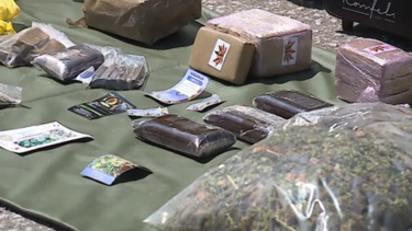 GNR desmantela rede de tráfico de droga e detém oito homens em Penafiel