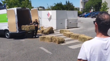 Antigo juiz espalha fardos de palha à porta da SIC