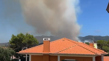 65 operacionais combatem incêndio em Alcabideche. Acionados três meios aéreos