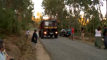 Homem encontrado carbonizado dentro de carro em incêndio florestal na Tábua em Coimbra