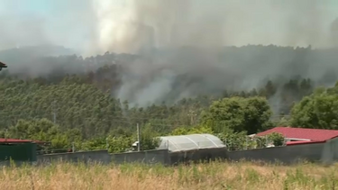 Três incêndios próximos de casas em Leiria e na Batalha