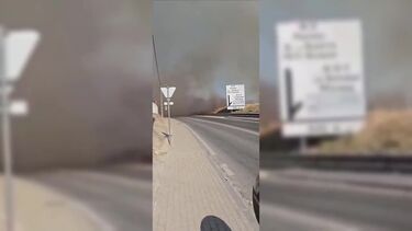 Mais de 50 bombeiros combatem incêndio no parque florestal de Monsanto em Lisboa